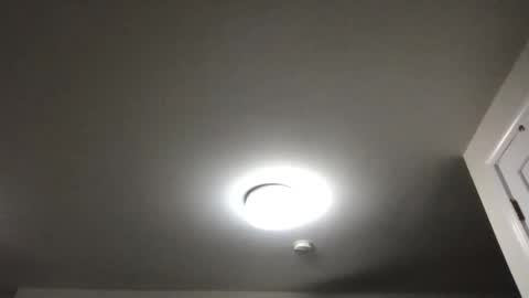 seveninchsteve_ online show from November 19, 2025, 9:42 am