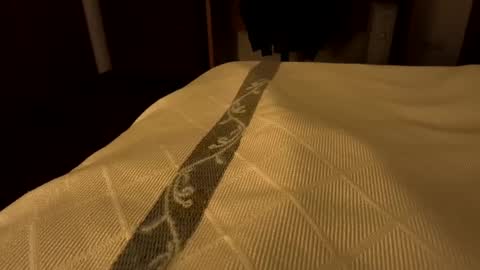 sevenorder online show from January 24, 2025, 7:51 am