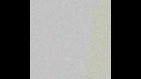 dankdiggler online show from December 2, 2025, 10:09 am