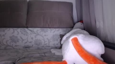 Snapshot of sexsy_bunny chatting on October 1, 2025, 5:13 am See you on October going to miss you guys incredibly. Subscribe to my Onlyfans Channel to follow the news online show from October 1, 2025, 5:13 am
