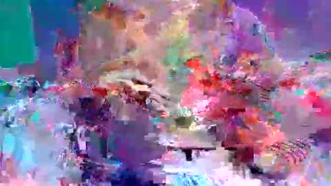 sexxycotton online show from April 10, 2026, 7:24 am