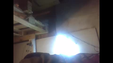 sexy15802 online show from December 21, 2024, 2:04 pm