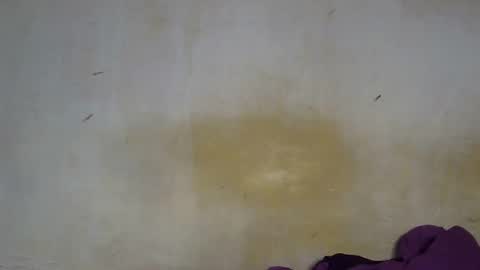 sexy_candy9 online show from December 4, 2025, 10:57 am