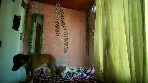 Snapshot of sexy_lolas chatting on July 17, 2026, 8:46 pm sexy lolas online show from July 17, 2026, 8:46 pm