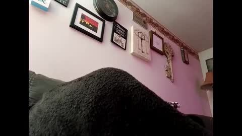    RICHY    online show from March 11, 2025, 8:52 am