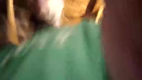    RICHY    online show from April 12, 2026, 11:26 am