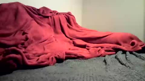 sexygg8331 online show from December 16, 2024, 1:10 am