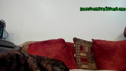 Sexymountainman420 online show from April 16, 2026, 1:28 am