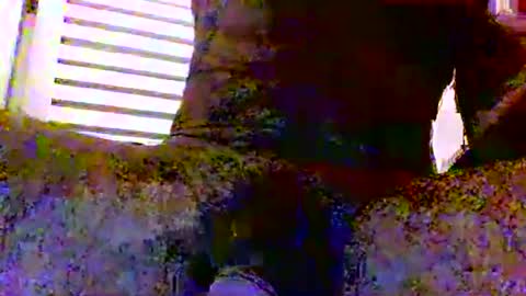 Snapshot of sexynudistdaddycockm chatting on November 24, 2025, 5:51 am sexynudistdaddycockm online show from November 24, 2025, 5:51 am