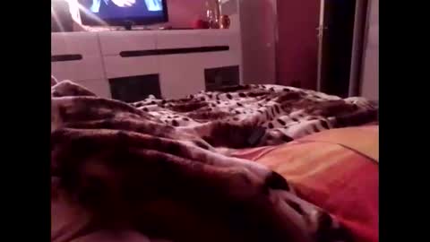 sexypairjuly online show from November 4, 2025, 11:15 pm