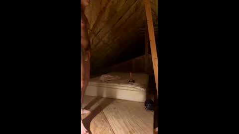 Smooth bi guy online show from March 7, 2026, 8:11 am