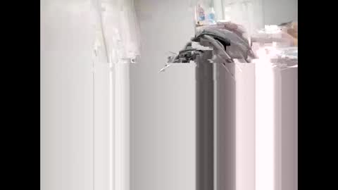 shagnasty95 online show from April 9, 2026, 1:27 am