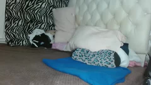 sharlot03 online show from March 11, 2025, 12:28 pm