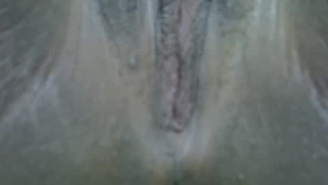 shaz online show from May 11, 2026, 2:01 pm