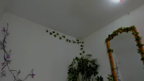 Snapshot of shegoblake chatting on July 6, 2026, 12:18 am Shego online show from July 6, 2026, 12:18 am