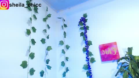 SHEILA  online show from December 9, 2024, 7:39 pm