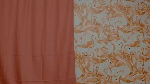 Erika online show from May 14, 2026, 1:12 am
