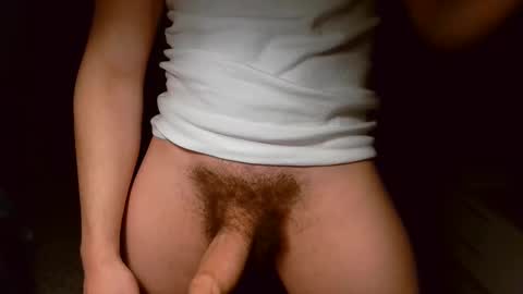 shinikari online show from March 22, 2026, 3:04 pm