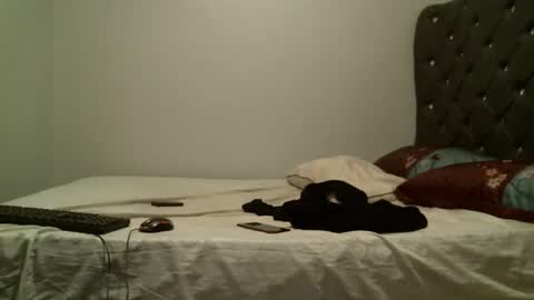 Snapshot of shiro254 chatting on October 26, 2025, 8:04 pm Shi-ro online show from October 26, 2025, 8:04 pm