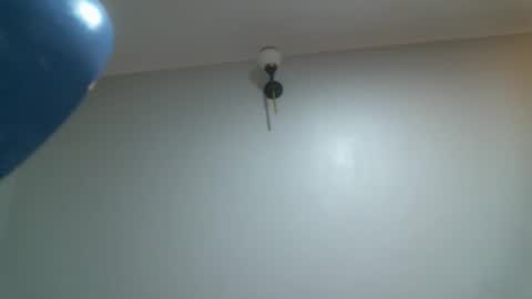 Snapshot of shiro254 chatting on November 24, 2025, 10:37 am Shi-ro online show from November 24, 2025, 10:37 am