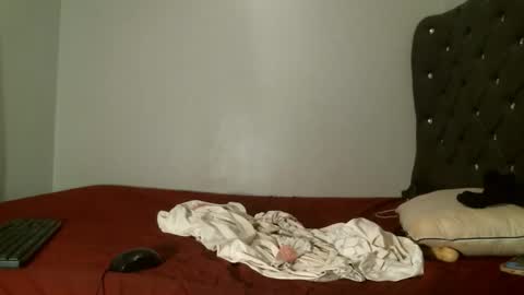 Snapshot of shiro254 chatting on February 7, 2026, 10:52 am Shi-ro online show from February 7, 2026, 10:52 am