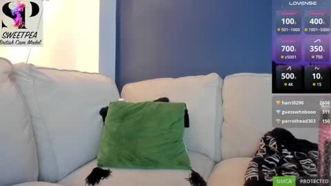 short sweetpea online show from December 9, 2024, 8:54 pm