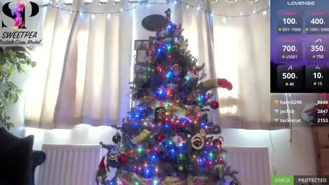 short sweetpea online show from December 14, 2024, 1:16 pm