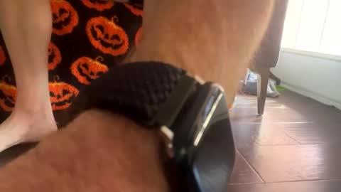 Snapshot of shortshortsman chatting on October 8, 2025, 5:10 pm shortshortsman online show from October 8, 2025, 5:10 pm