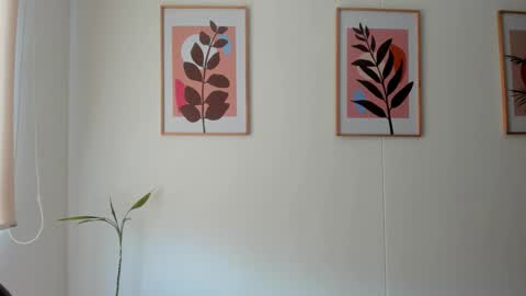 Snapshot of shylittlebunny chatting on February 11, 2026, 2:33 pm shylittlebunny online show from February 11, 2026, 2:33 pm