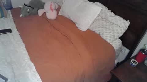 shypetitebaby online show from March 12, 2026, 5:08 pm