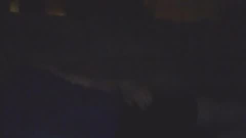 Bill online show from February 11, 2026, 8:19 am