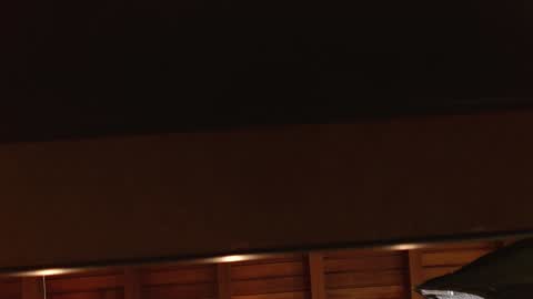 SIENA STONE online show from January 18, 2025, 2:03 am