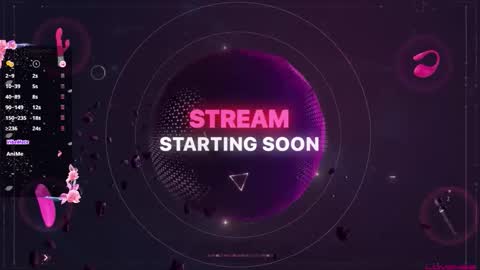 SilentSarah online show from January 11, 2026, 5:01 am