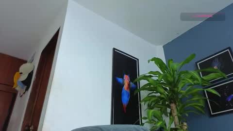 silvabranko online show from December 18, 2025, 12:17 am