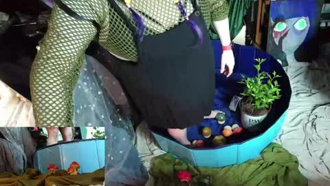 Sinstress hemlock online show from April 27, 2026, 3:04 am