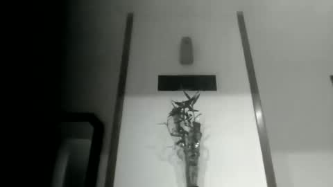 sioque376201 online show from March 10, 2026, 11:43 pm