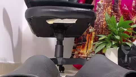 only foot                         worshipers here online show from December 25, 2024, 10:48 pm