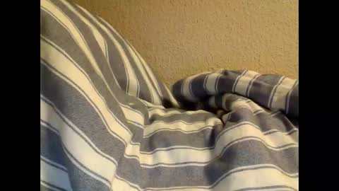 sircamalot45 online show from February 17, 2025, 1:36 am