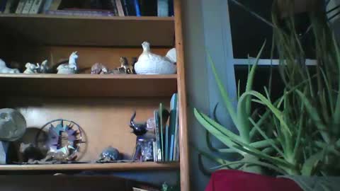 sirlicksaclit online show from January 14, 2025, 3:01 am