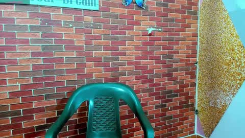 SIR RYANT online show from February 27, 2025, 12:34 pm