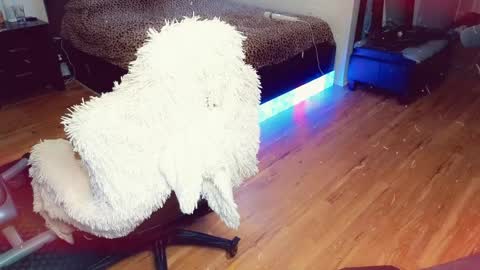 Snapshot of sissyashleigh chatting on April 21, 2026, 11:51 pm Ashleigh Mak online show from April 21, 2026, 11:51 pm
