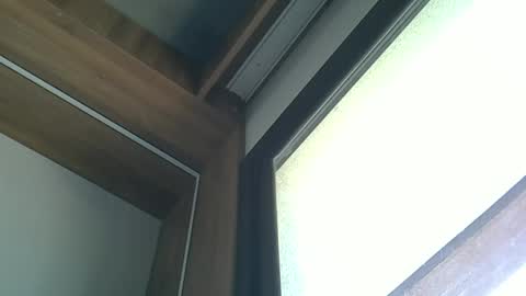 skinnykittencam online show from October 5, 2025, 3:10 pm