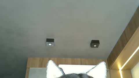skinnykittencam online show from October 20, 2025, 5:13 pm