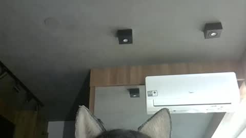skinnykittencam online show from November 6, 2025, 6:31 pm