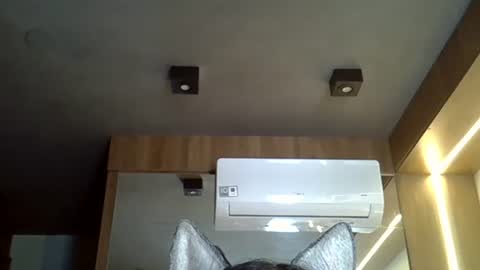 skinnykittencam online show from November 7, 2025, 1:33 pm