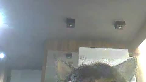 skinnykittencam online show from January 13, 2026, 3:01 am
