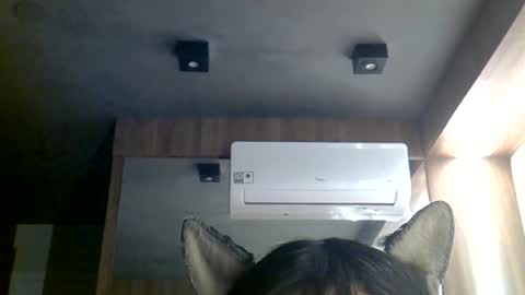 Snapshot of skinnykittencam chatting on June 29, 2026, 10:48 am skinnykittencam online show from June 29, 2026, 10:48 am