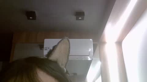 Snapshot of skinnykittencam chatting on July 17, 2026, 11:50 am skinnykittencam online show from July 17, 2026, 11:50 am