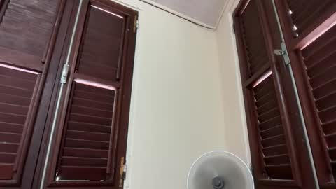 skinnymetiss online show from September 20, 2025, 6:31 pm