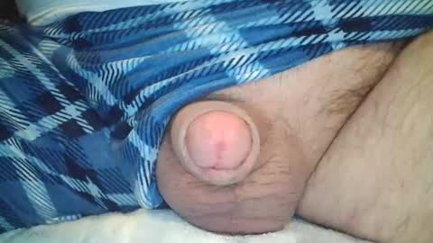 CoCKFun online show from November 26, 2025, 1:50 am